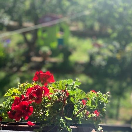 Apartman Dalija Vinkuran Extérieur photo